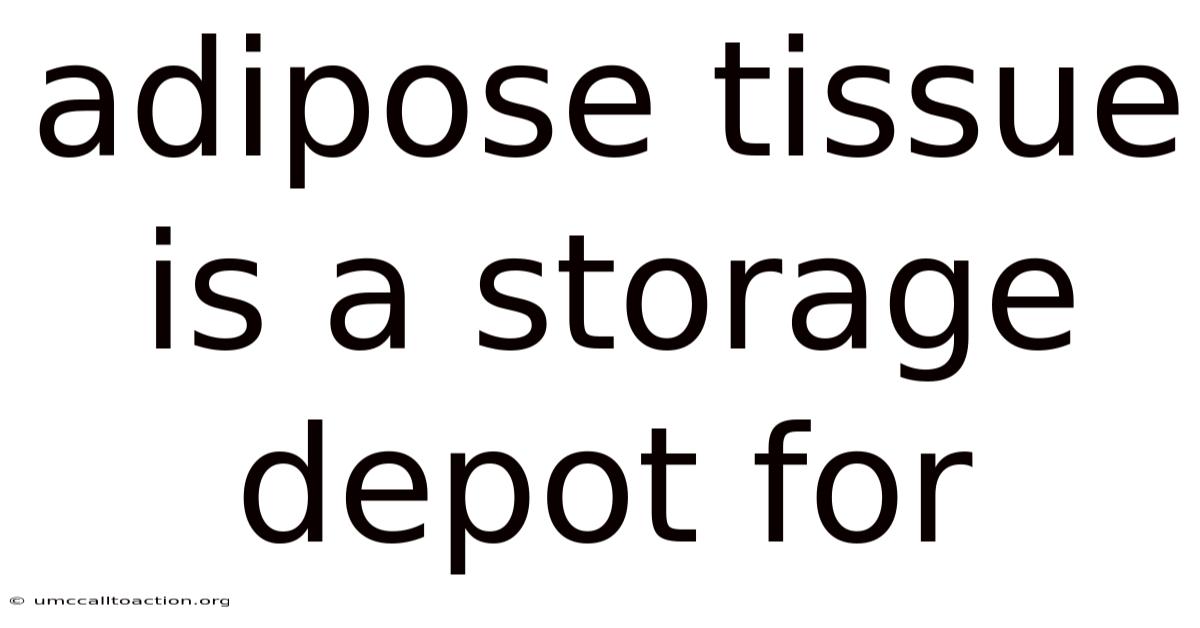 Adipose Tissue Is A Storage Depot For