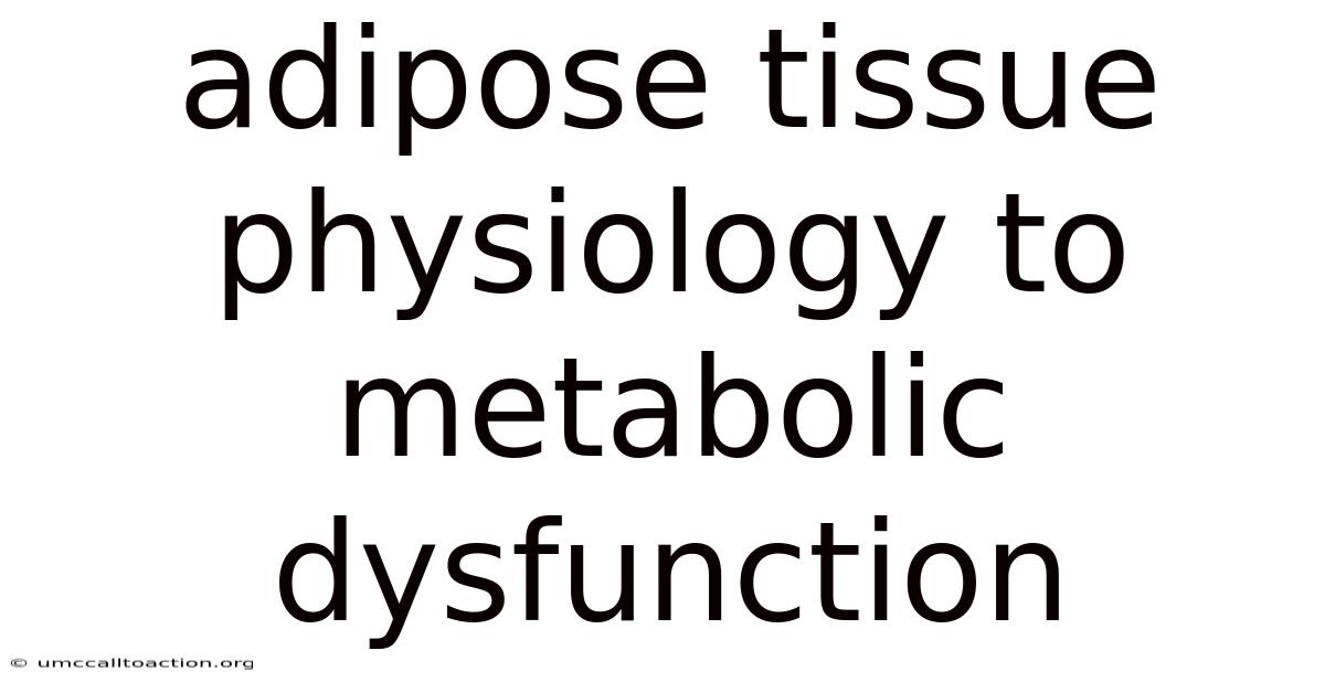 Adipose Tissue Physiology To Metabolic Dysfunction