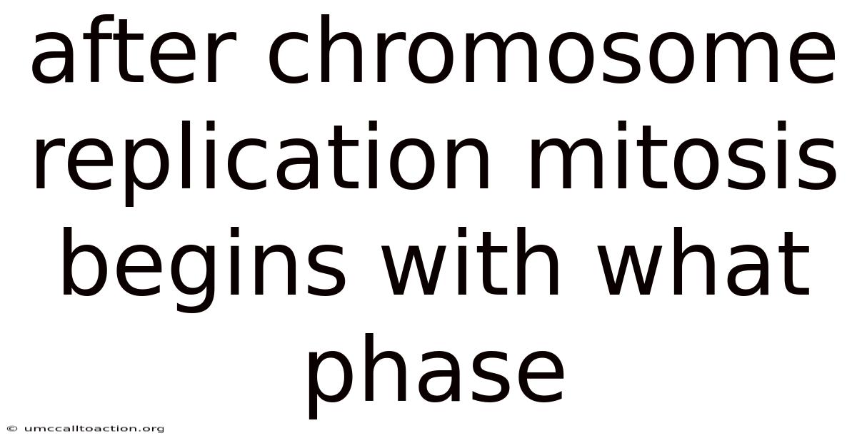 After Chromosome Replication Mitosis Begins With What Phase