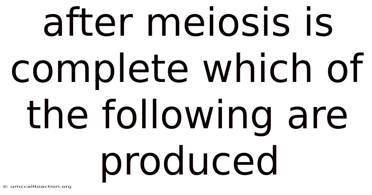 After Meiosis Is Complete Which Of The Following Are Produced