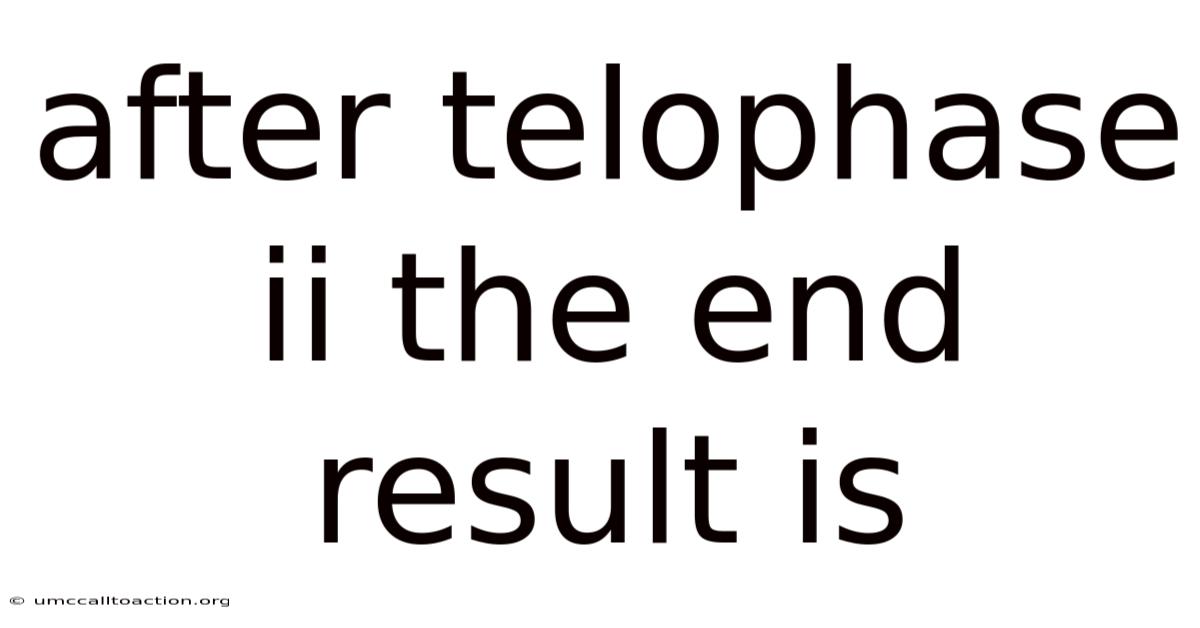 After Telophase Ii The End Result Is