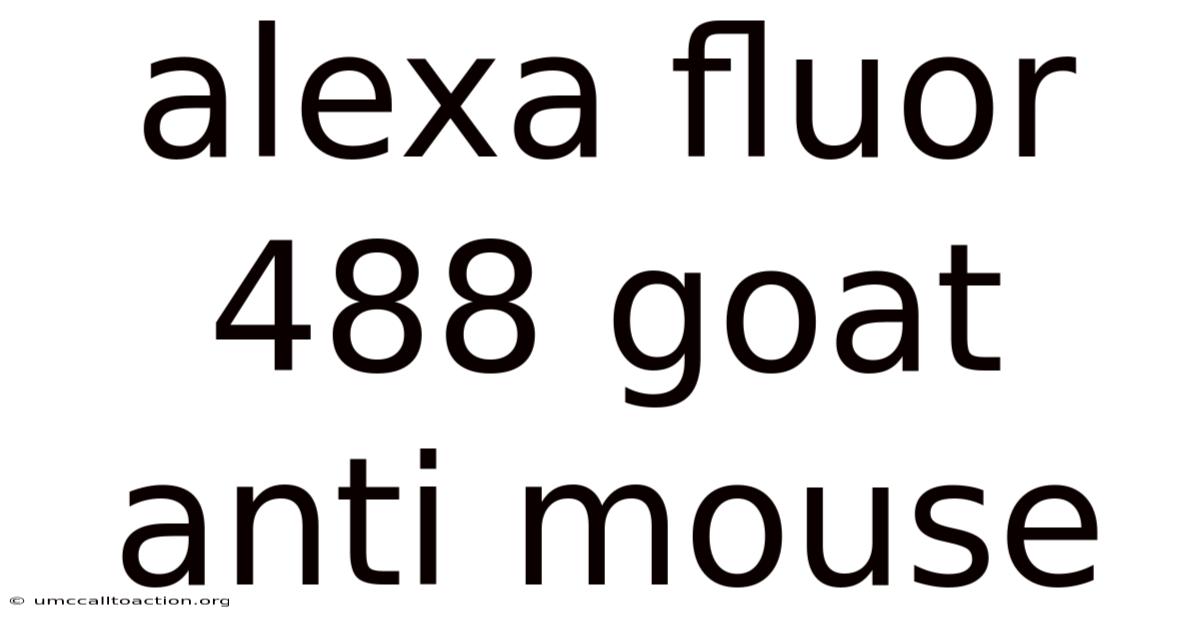Alexa Fluor 488 Goat Anti Mouse