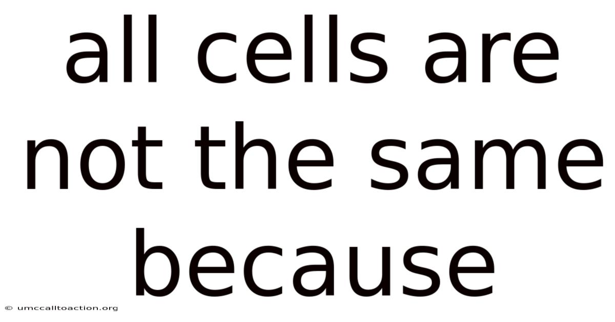 All Cells Are Not The Same Because