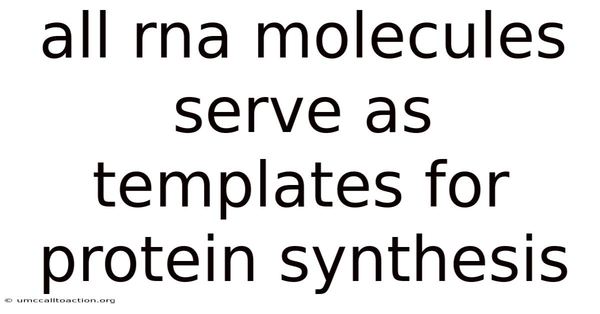 All Rna Molecules Serve As Templates For Protein Synthesis