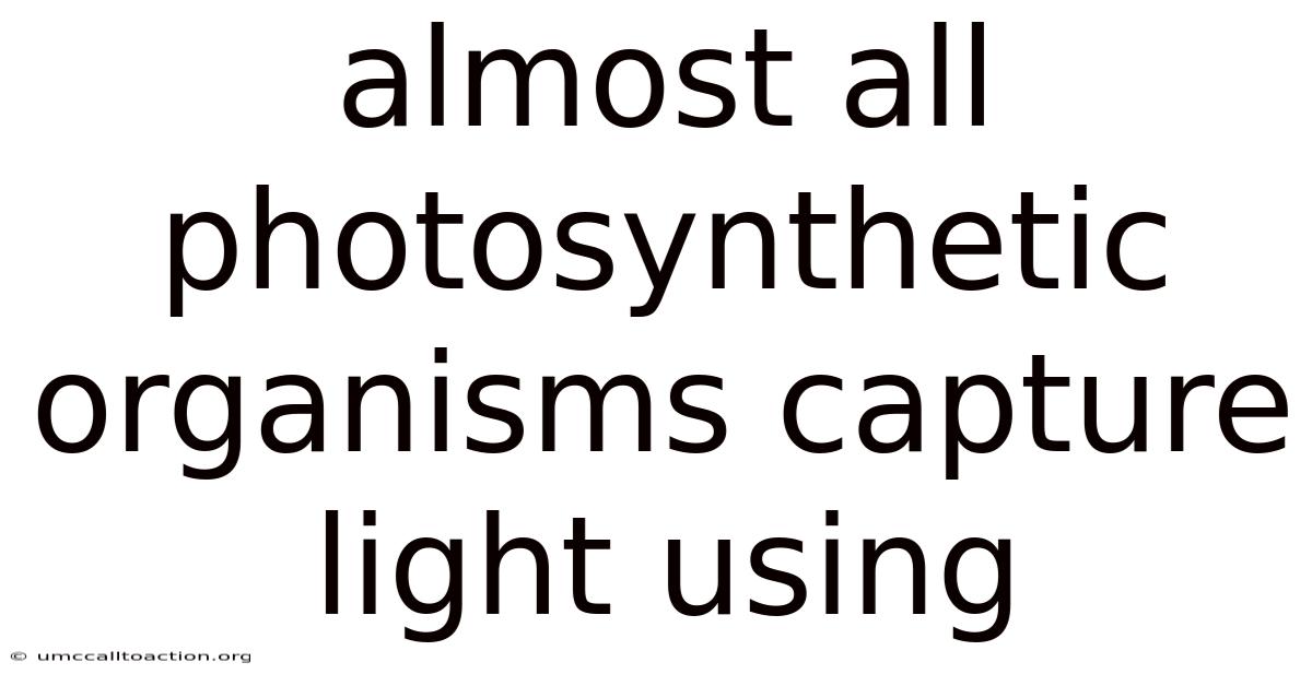 Almost All Photosynthetic Organisms Capture Light Using