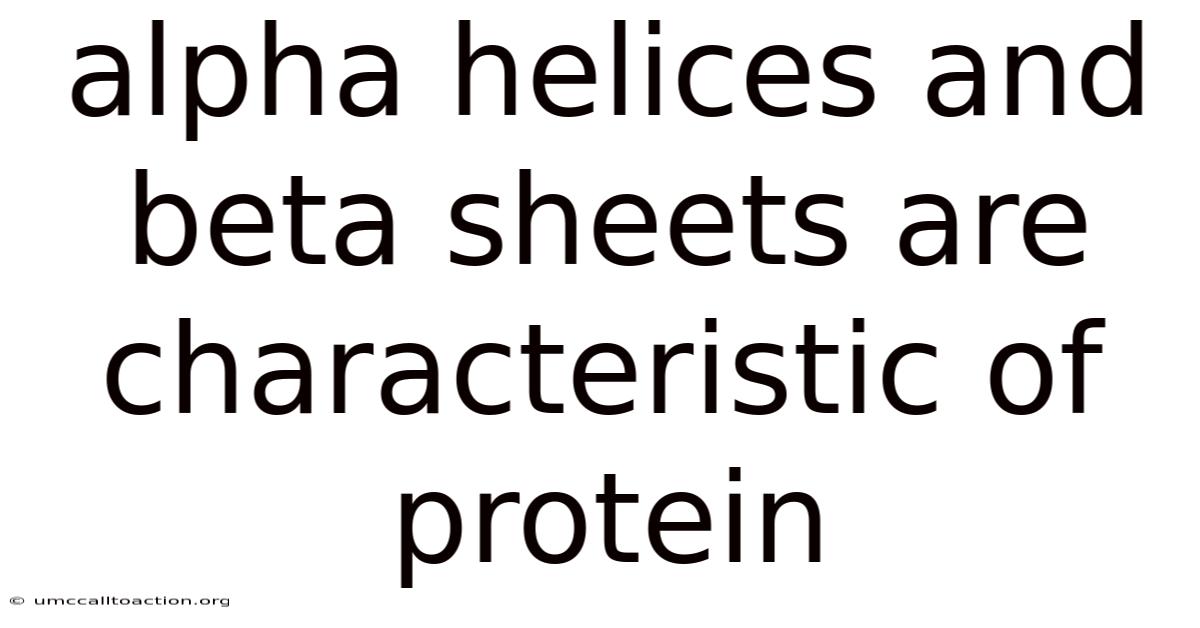 Alpha Helices And Beta Sheets Are Characteristic Of Protein