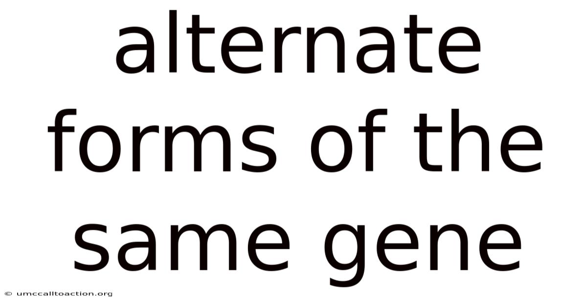 Alternate Forms Of The Same Gene