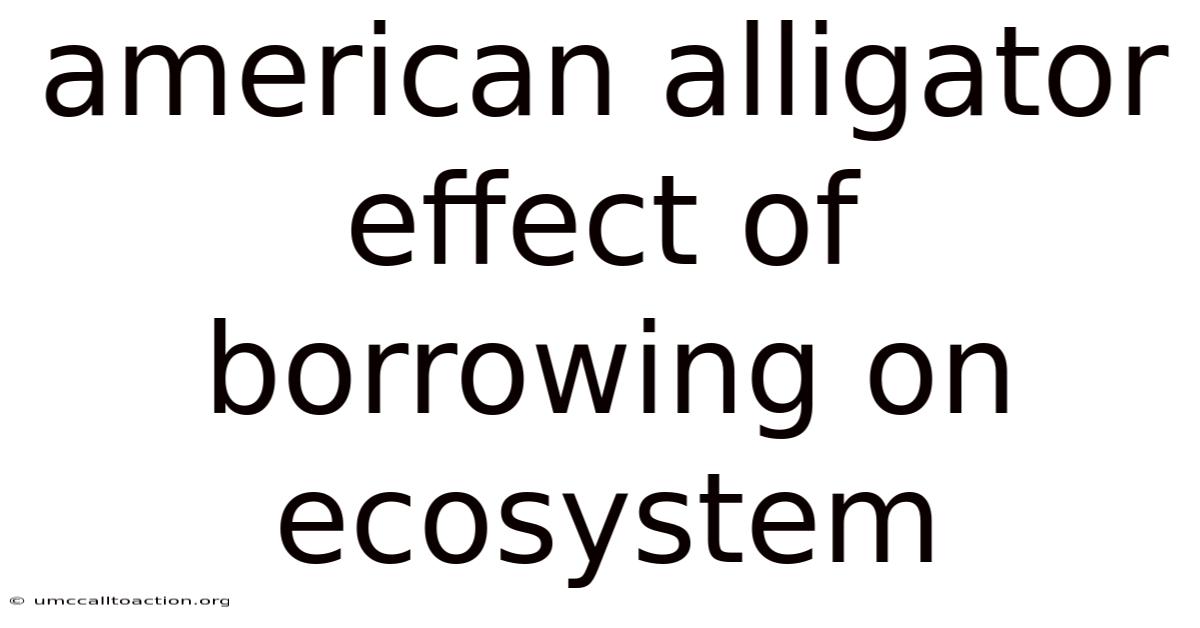 American Alligator Effect Of Borrowing On Ecosystem