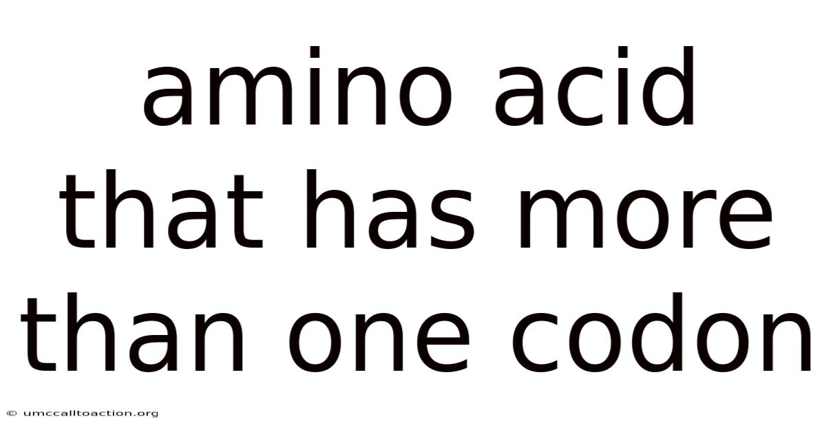 Amino Acid That Has More Than One Codon