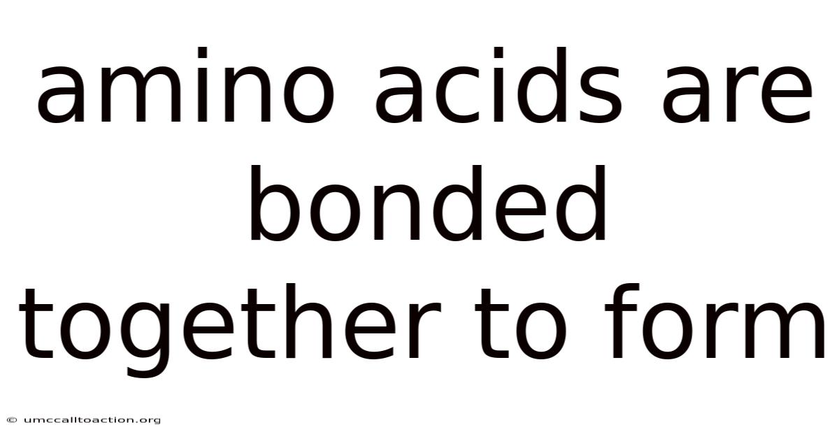 Amino Acids Are Bonded Together To Form