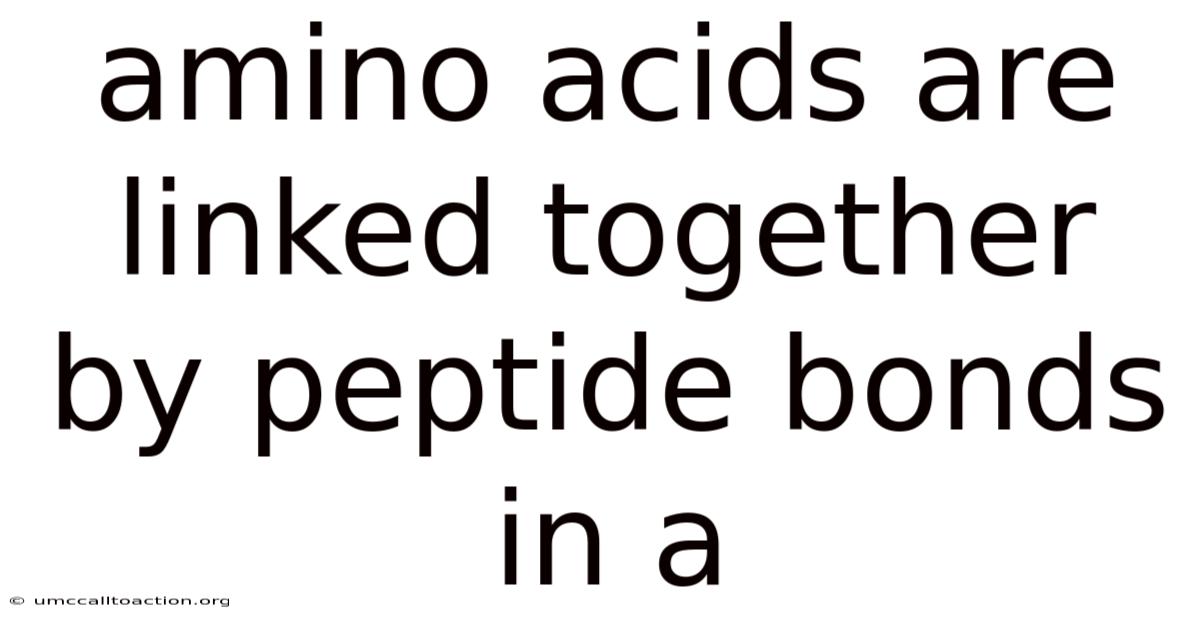 Amino Acids Are Linked Together By Peptide Bonds In A