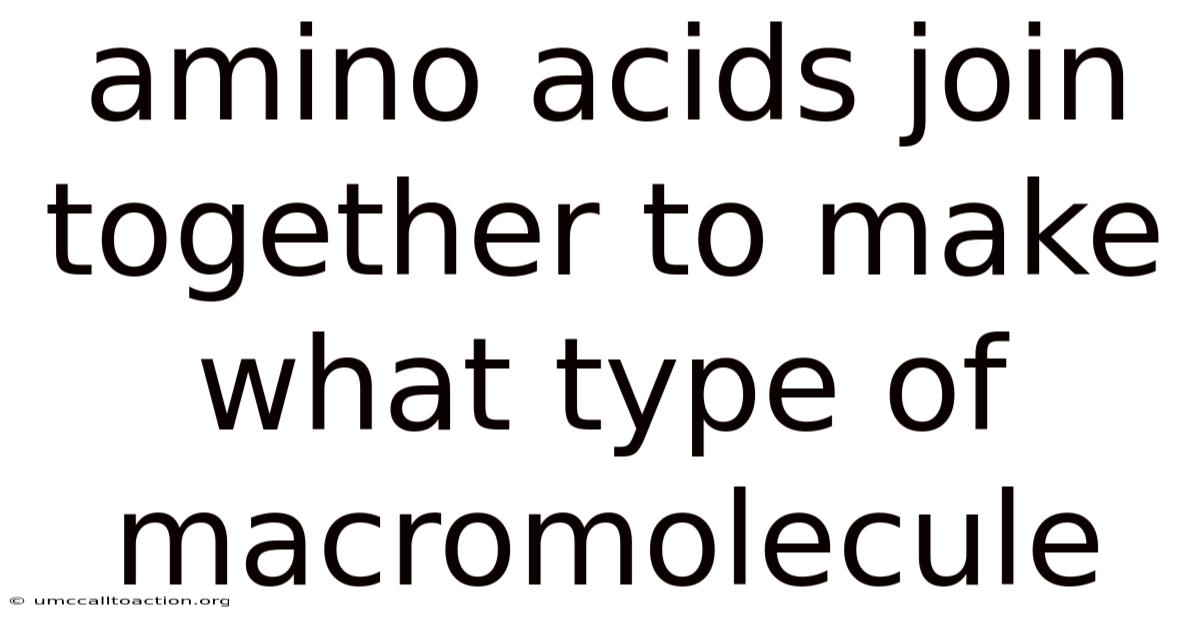 Amino Acids Join Together To Make What Type Of Macromolecule