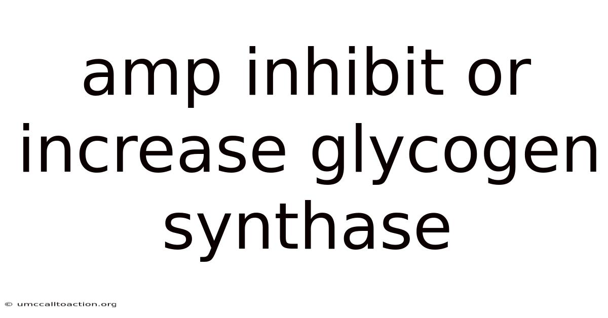 Amp Inhibit Or Increase Glycogen Synthase