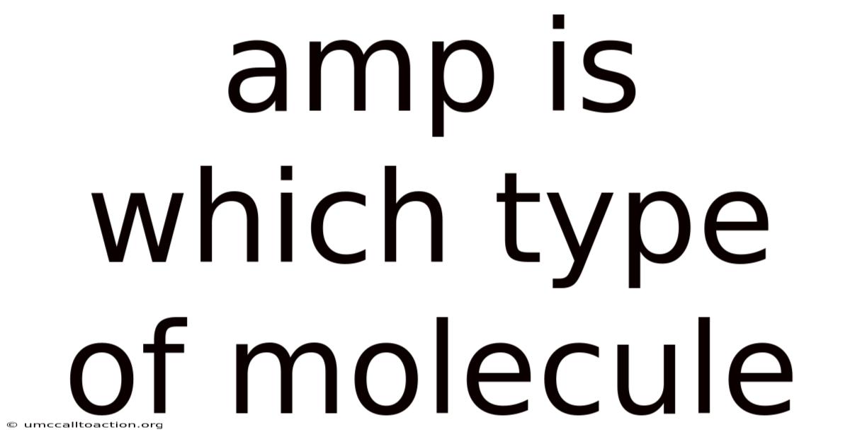 Amp Is Which Type Of Molecule