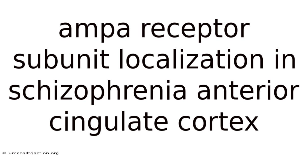 Ampa Receptor Subunit Localization In Schizophrenia Anterior Cingulate Cortex
