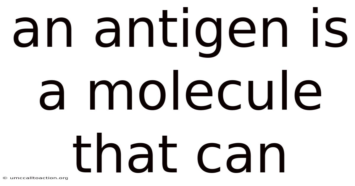 An Antigen Is A Molecule That Can