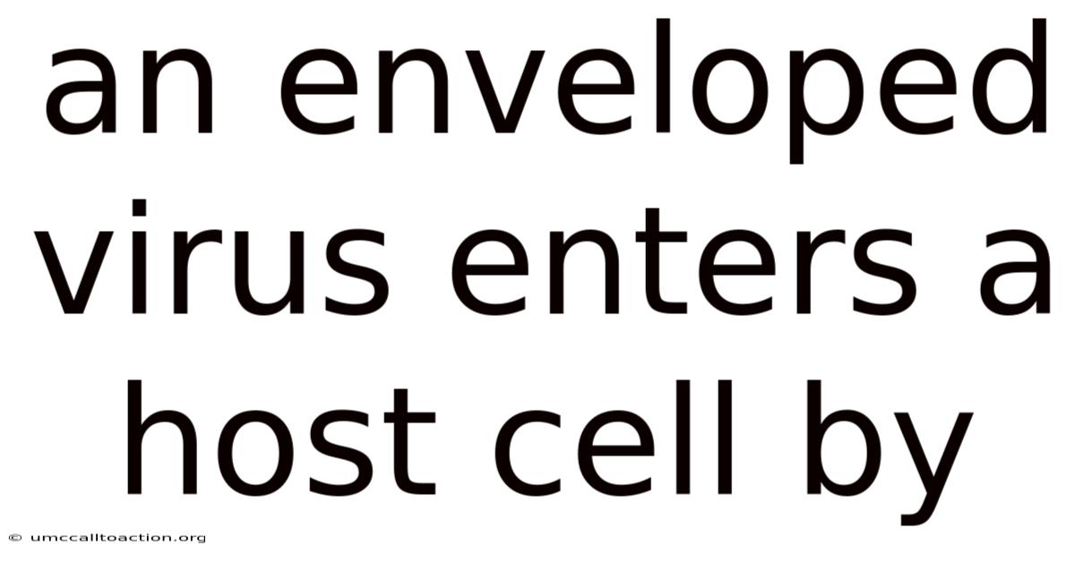 An Enveloped Virus Enters A Host Cell By