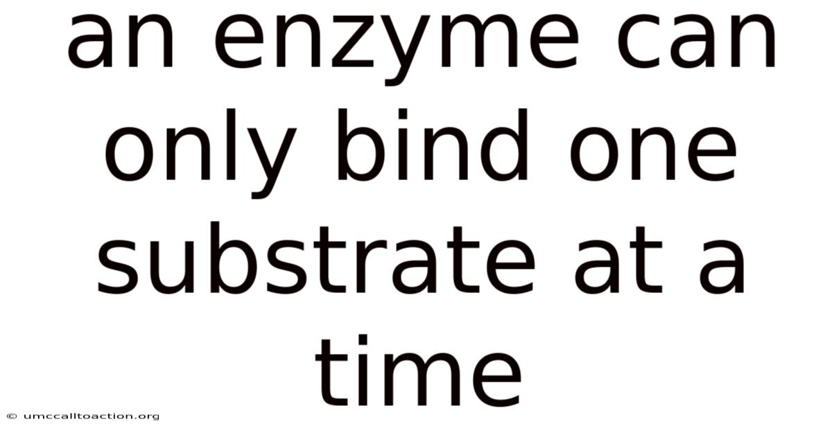 An Enzyme Can Only Bind One Substrate At A Time
