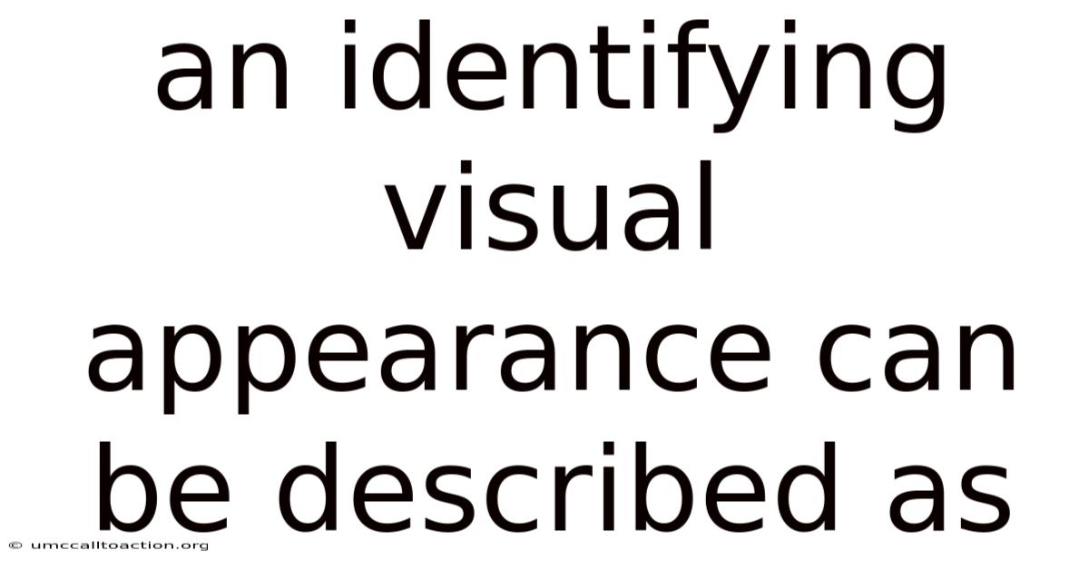 An Identifying Visual Appearance Can Be Described As