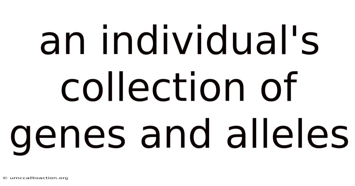 An Individual's Collection Of Genes And Alleles