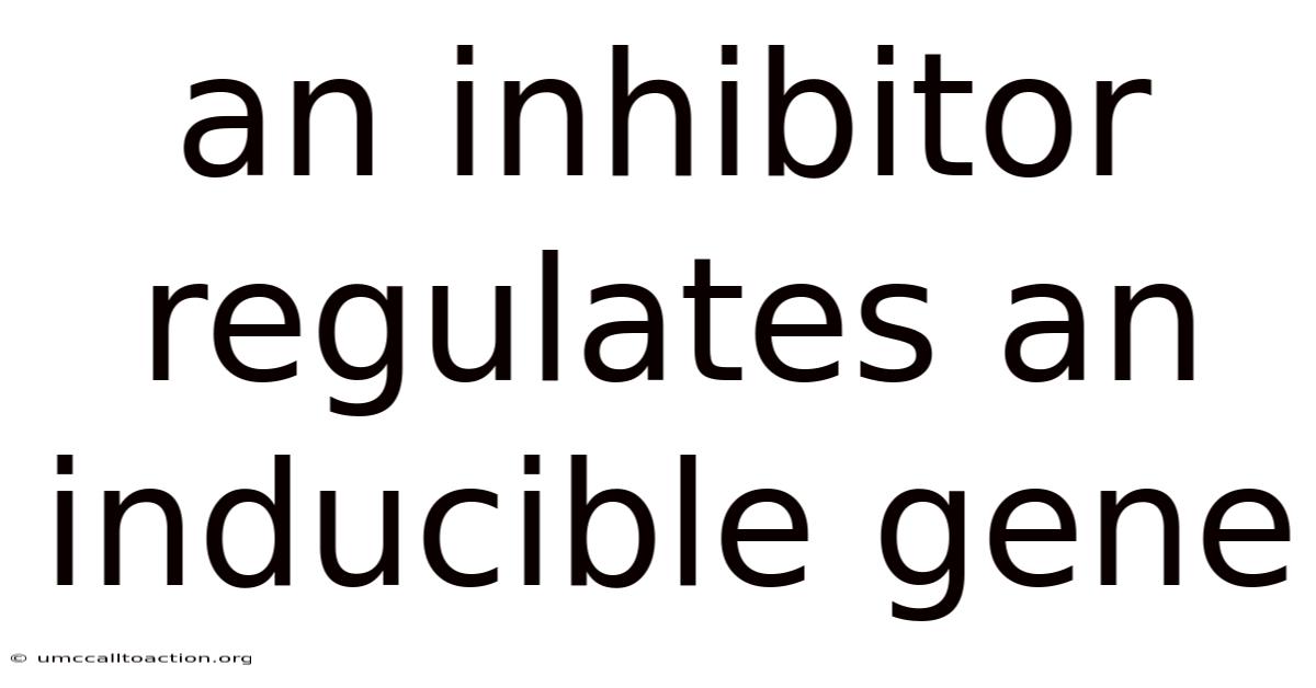 An Inhibitor Regulates An Inducible Gene