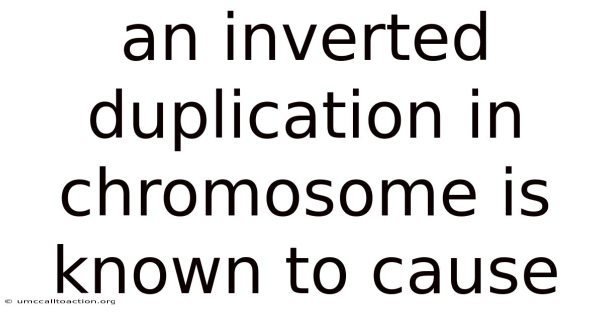 An Inverted Duplication In Chromosome Is Known To Cause
