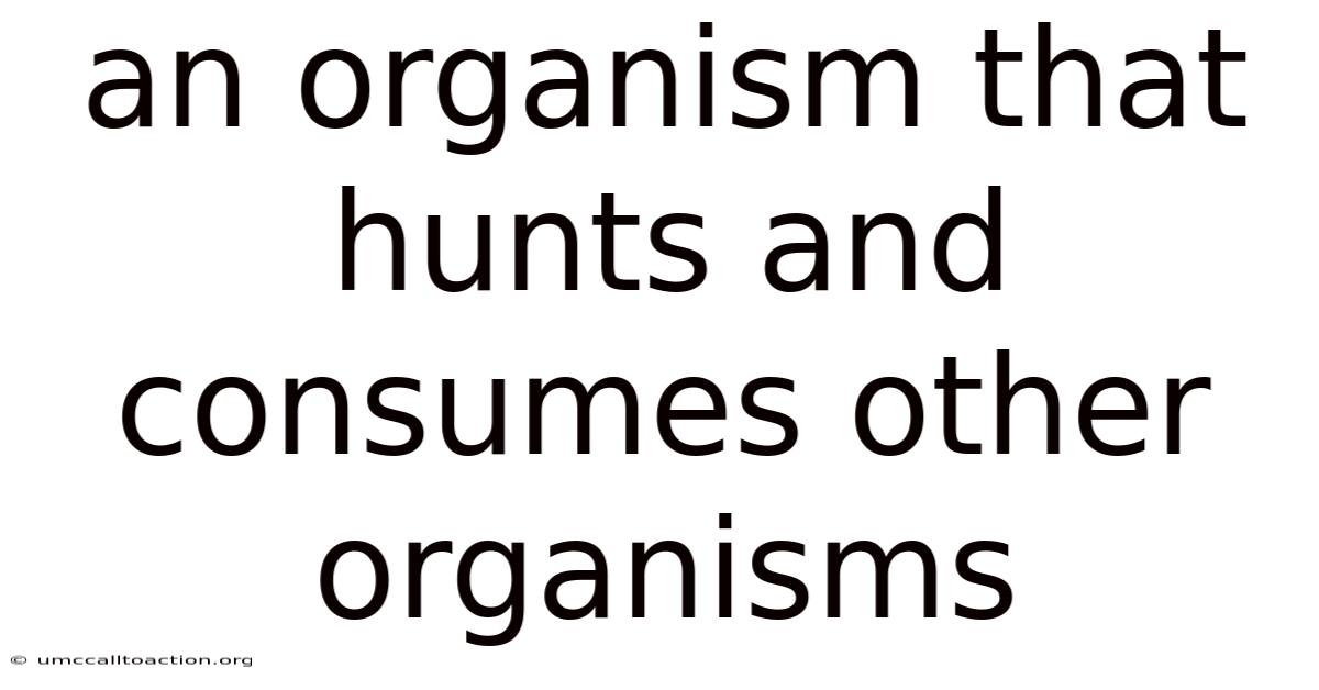An Organism That Hunts And Consumes Other Organisms
