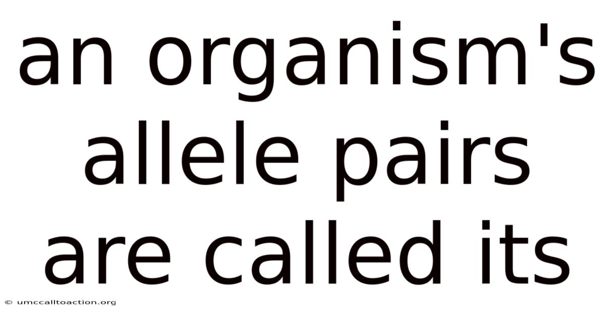 An Organism's Allele Pairs Are Called Its