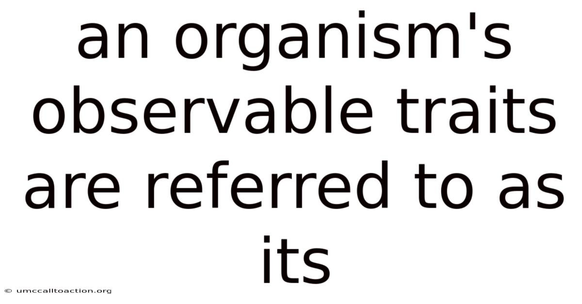 An Organism's Observable Traits Are Referred To As Its