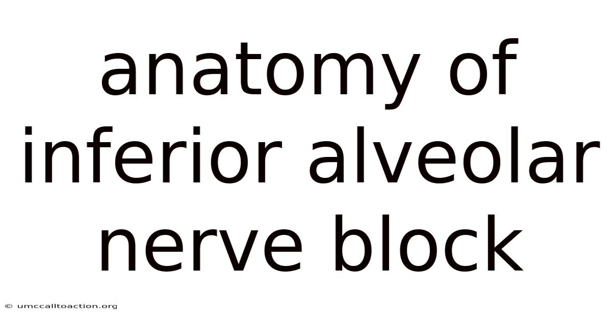 Anatomy Of Inferior Alveolar Nerve Block