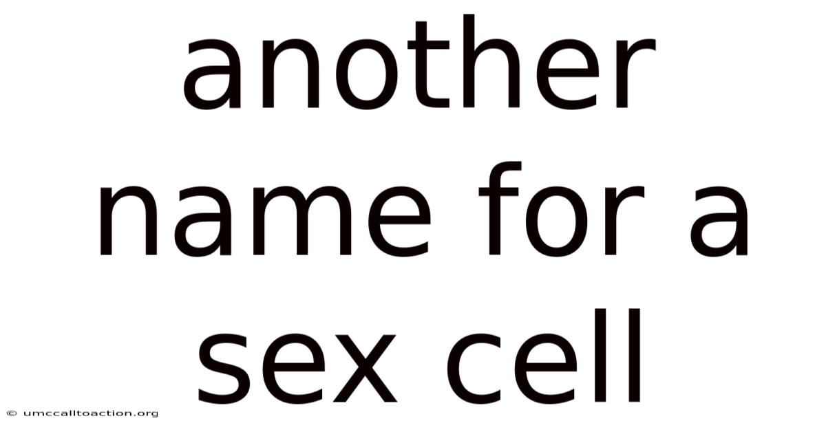 Another Name For A Sex Cell