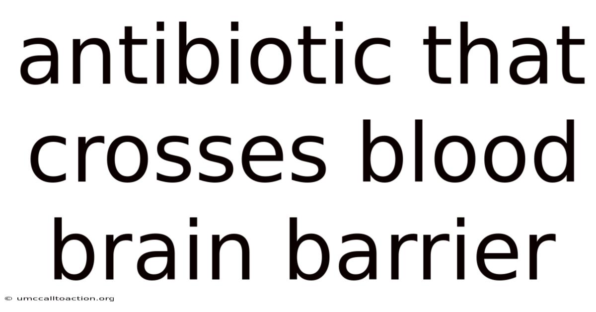 Antibiotic That Crosses Blood Brain Barrier