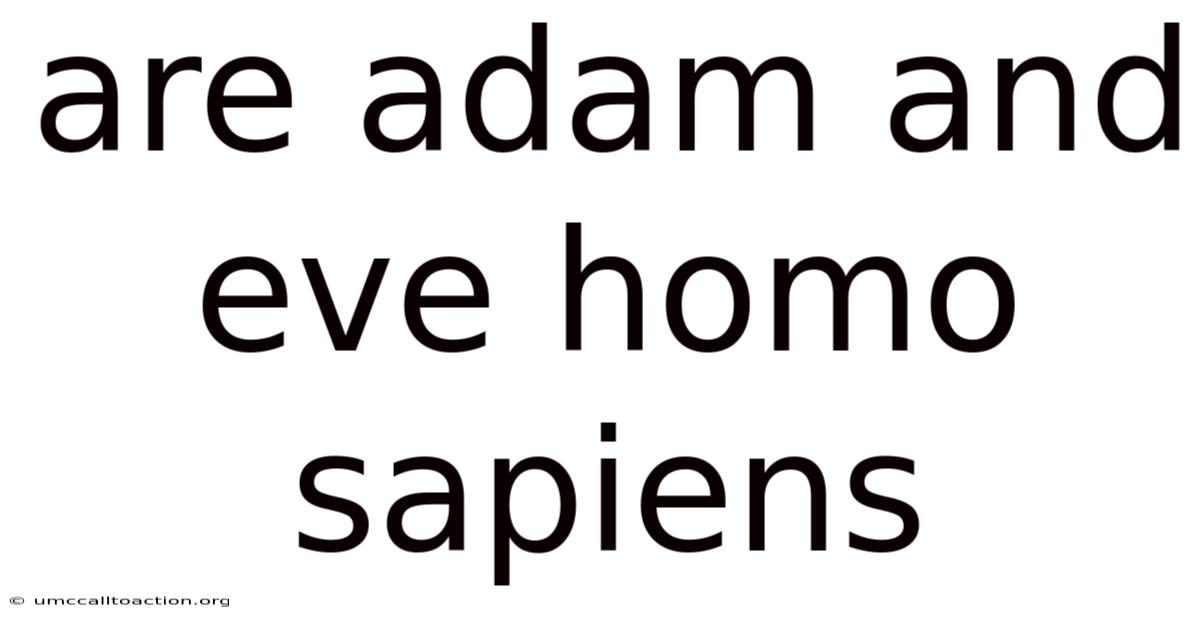 Are Adam And Eve Homo Sapiens