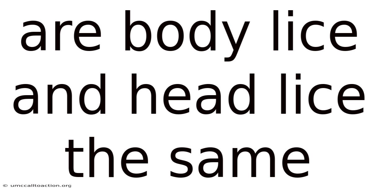Are Body Lice And Head Lice The Same