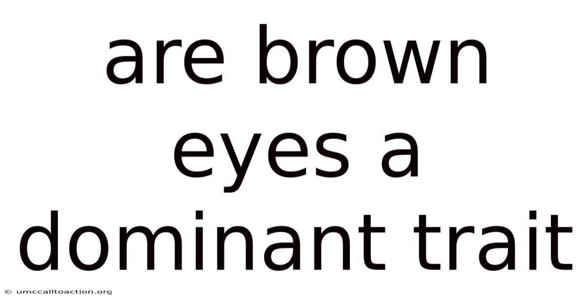 Are Brown Eyes A Dominant Trait