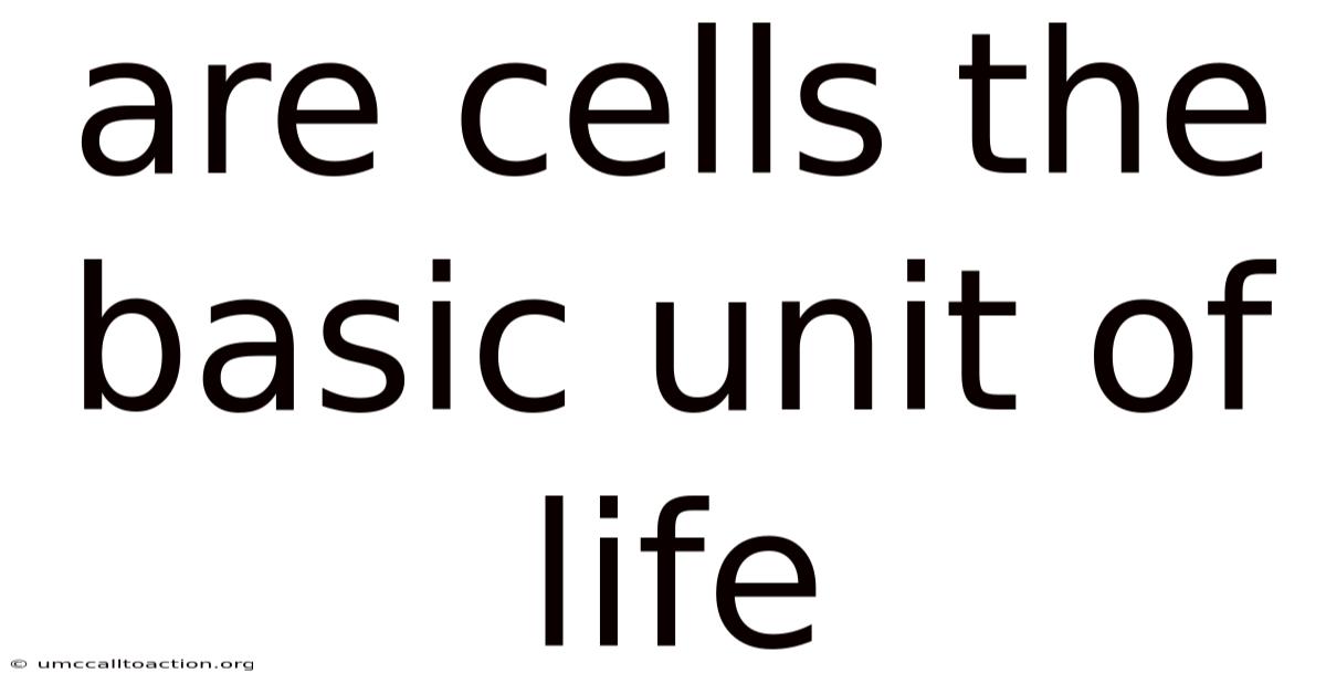 Are Cells The Basic Unit Of Life