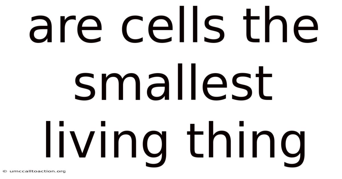 Are Cells The Smallest Living Thing