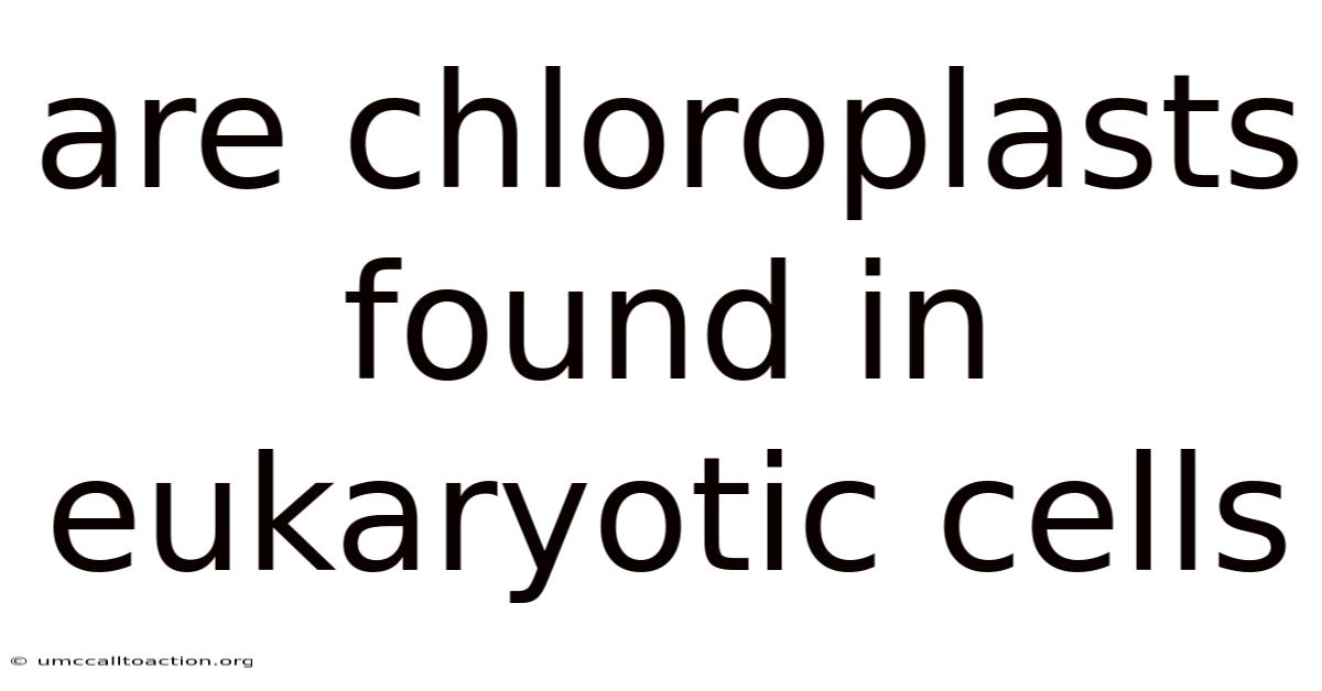 Are Chloroplasts Found In Eukaryotic Cells