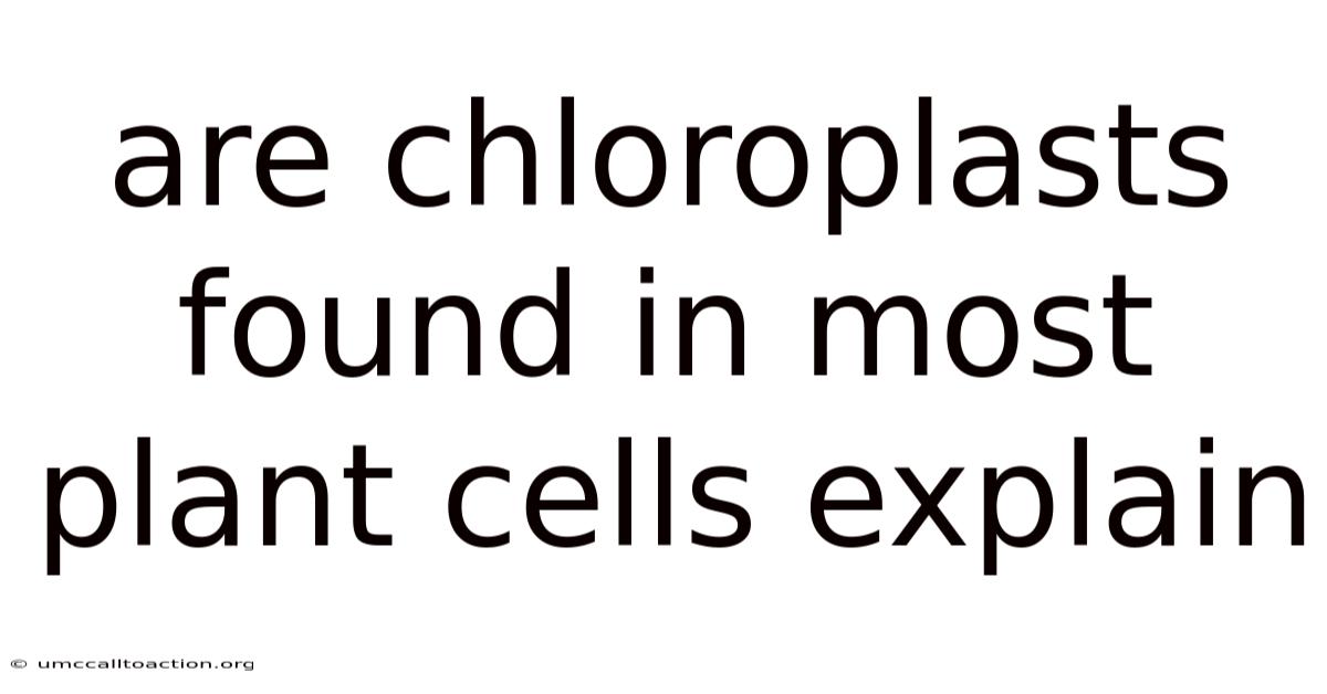 Are Chloroplasts Found In Most Plant Cells Explain