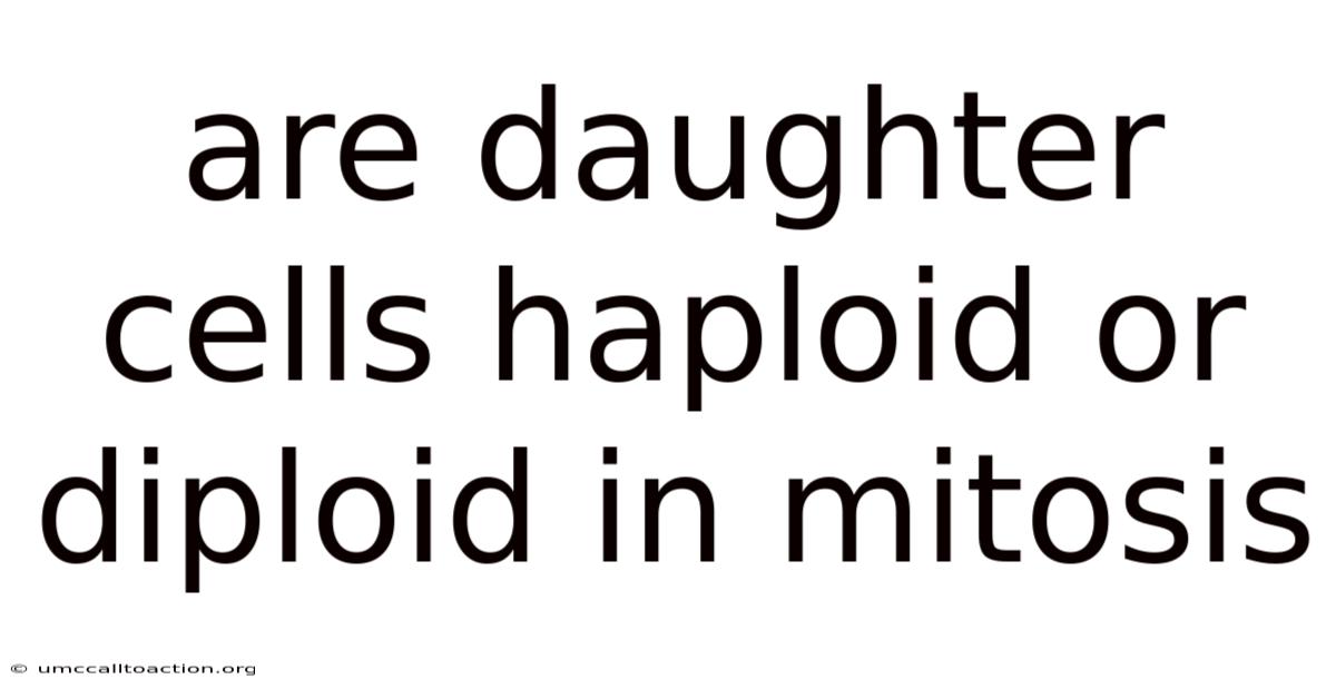 Are Daughter Cells Haploid Or Diploid In Mitosis