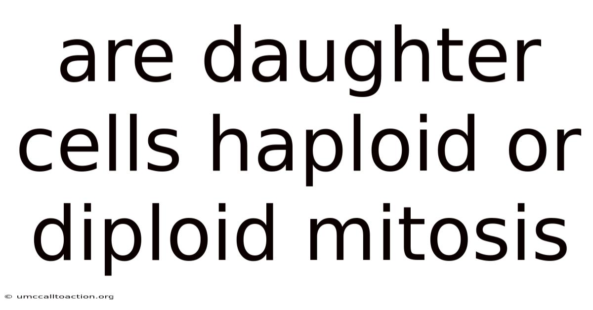 Are Daughter Cells Haploid Or Diploid Mitosis