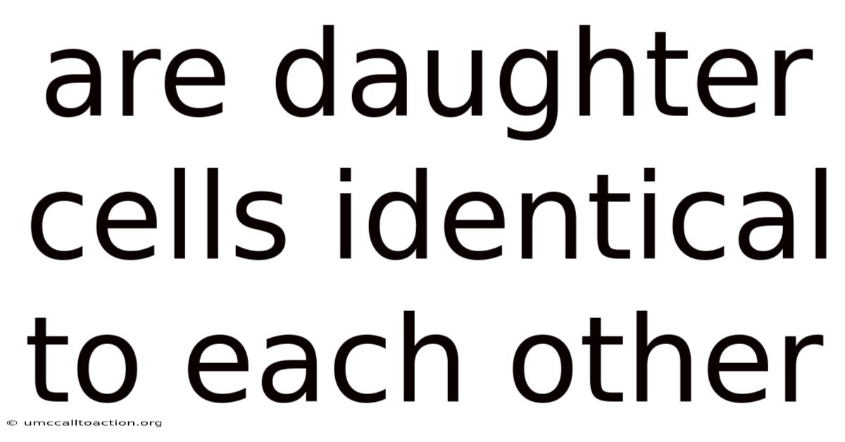 Are Daughter Cells Identical To Each Other