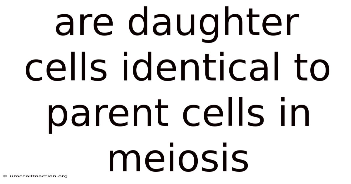 Are Daughter Cells Identical To Parent Cells In Meiosis