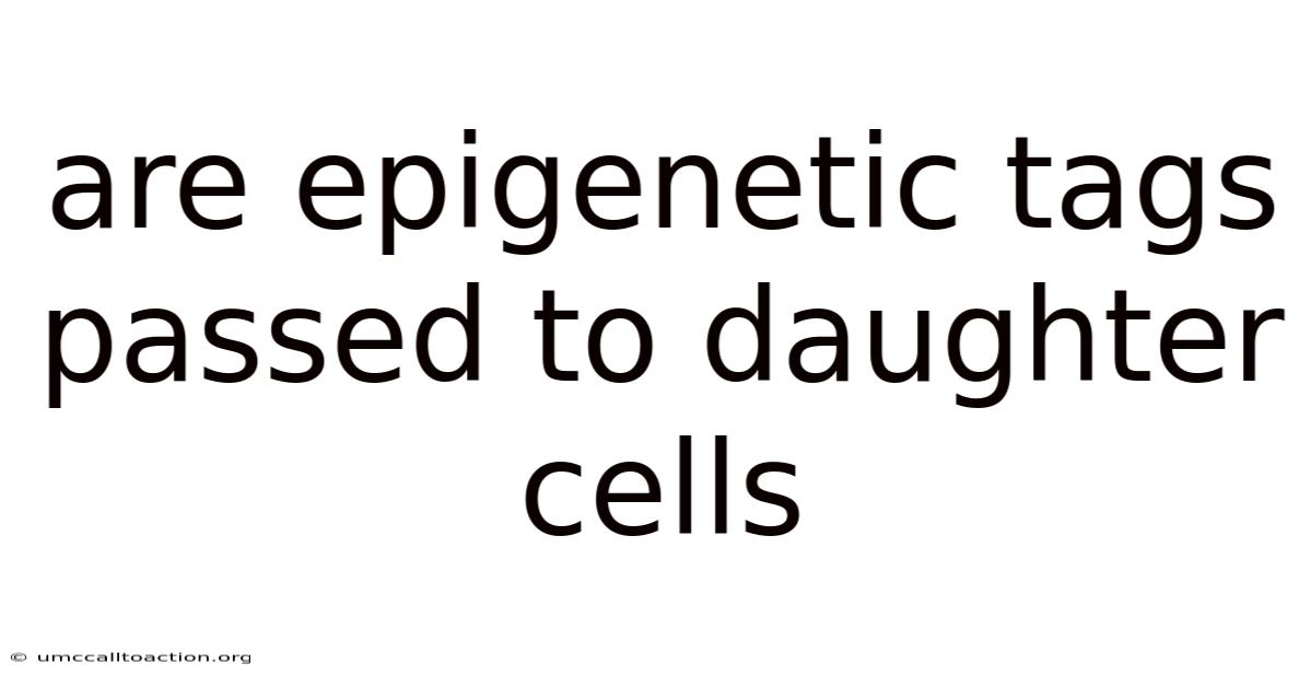 Are Epigenetic Tags Passed To Daughter Cells