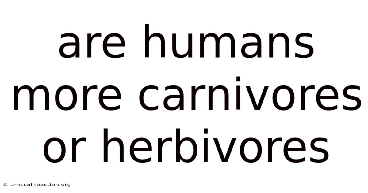 Are Humans More Carnivores Or Herbivores