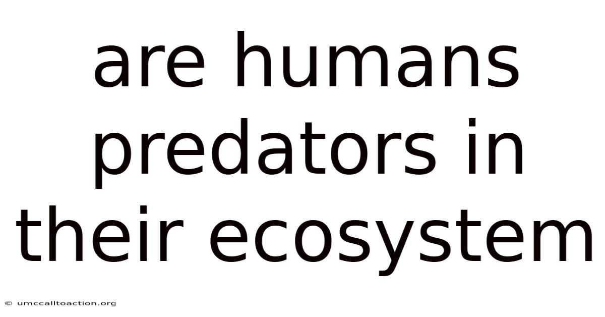 Are Humans Predators In Their Ecosystem