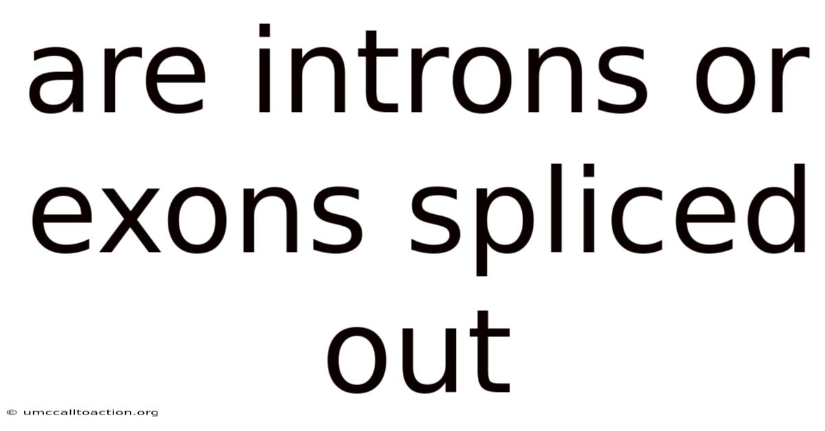 Are Introns Or Exons Spliced Out