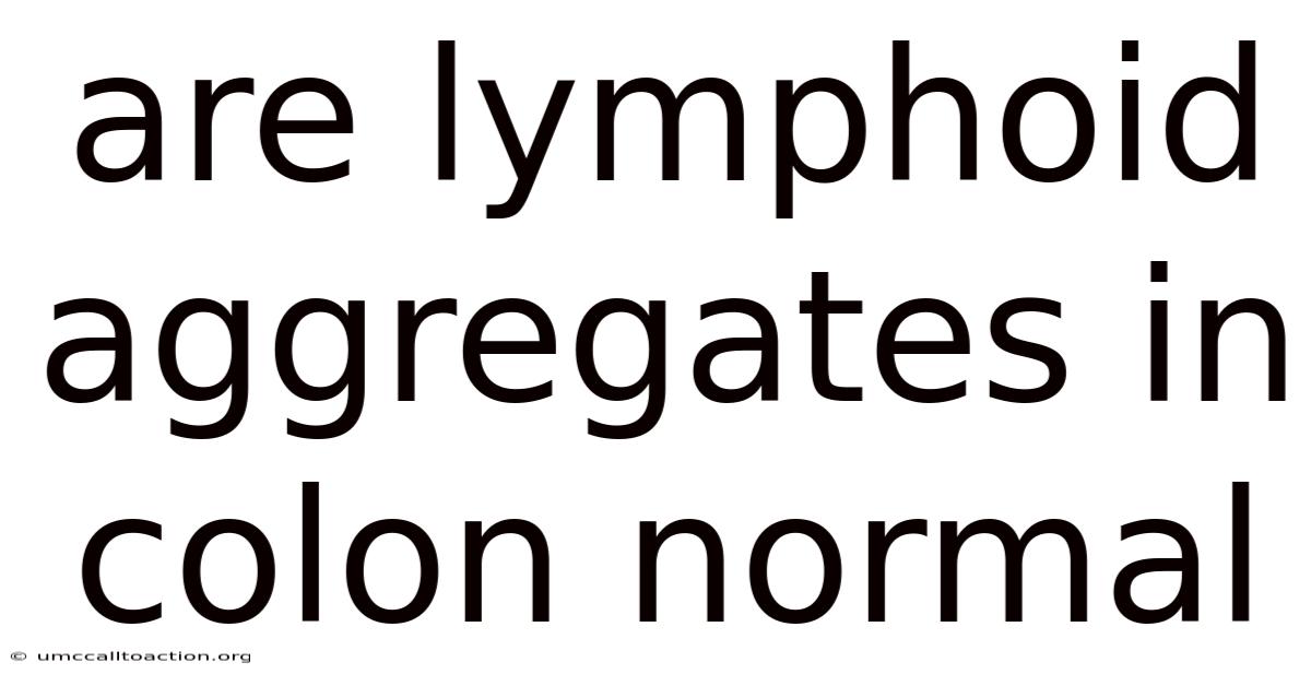 Are Lymphoid Aggregates In Colon Normal