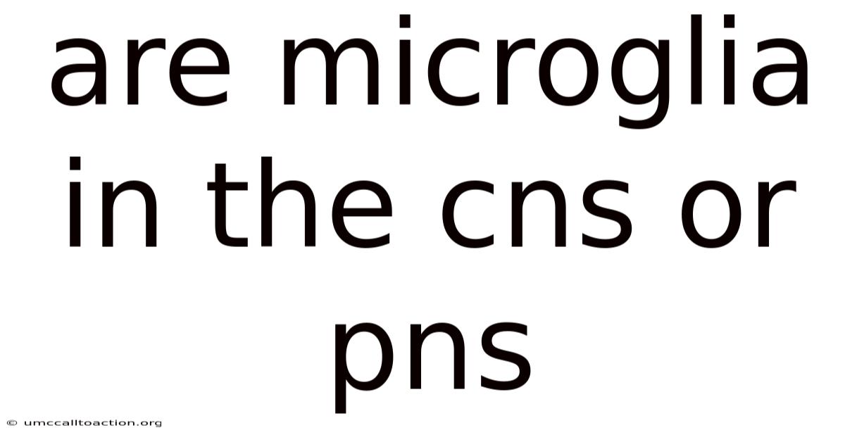 Are Microglia In The Cns Or Pns