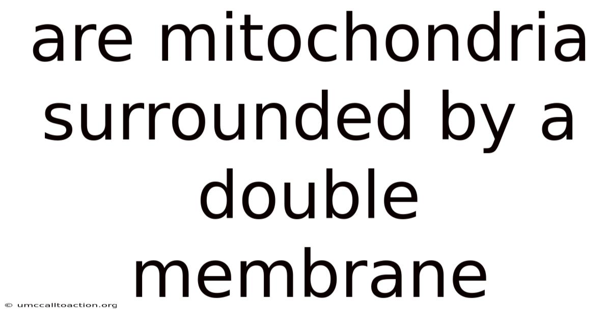 Are Mitochondria Surrounded By A Double Membrane